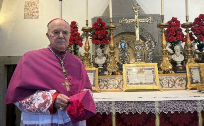 Mgr Vigano