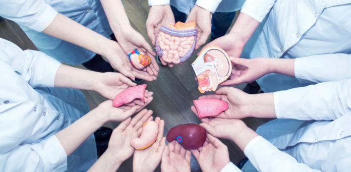 Transplantation